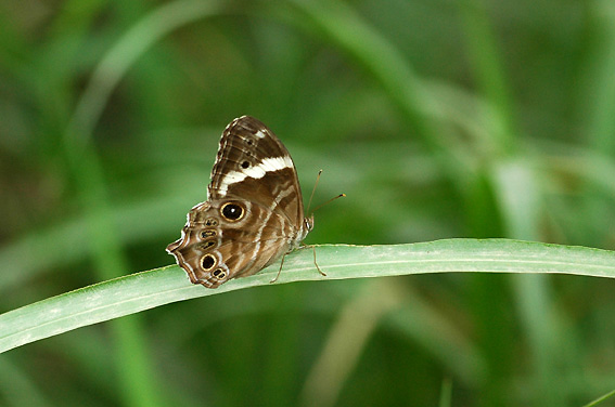 f0090680_2253575.jpg