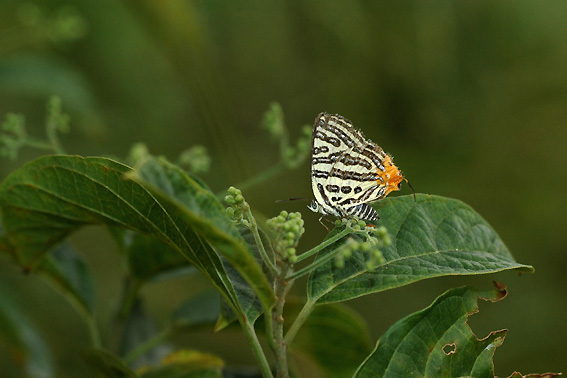 f0090680_225363.jpg