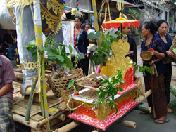 d0039981_1151124.jpg