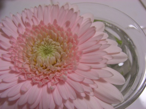 a0043982_1345923.jpg