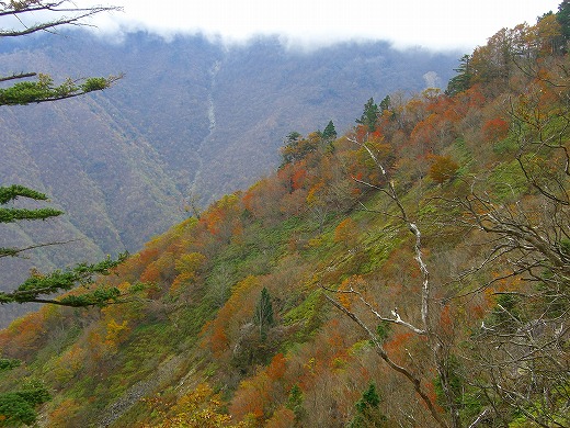 b0010882_1052381.jpg