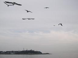 a0055889_1416251.jpg