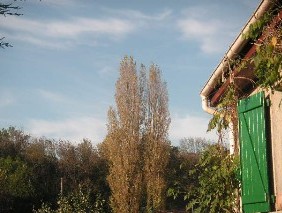 f0044892_2017593.jpg