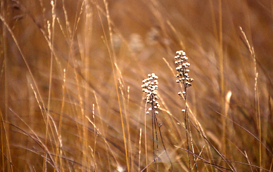 d0025894_23504365.jpg