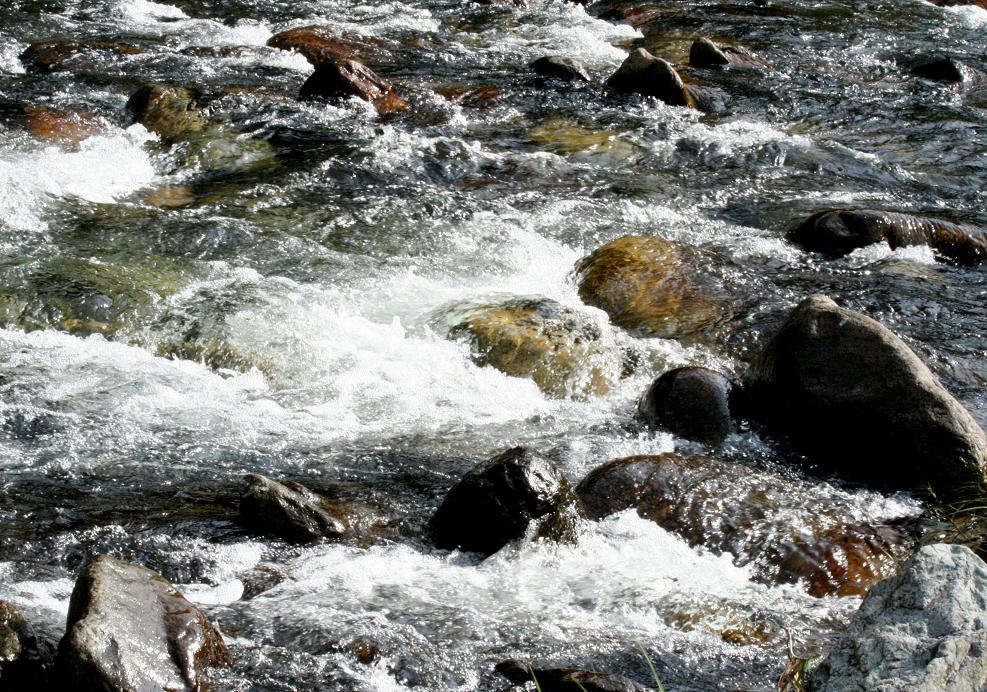 b0100498_107418.jpg