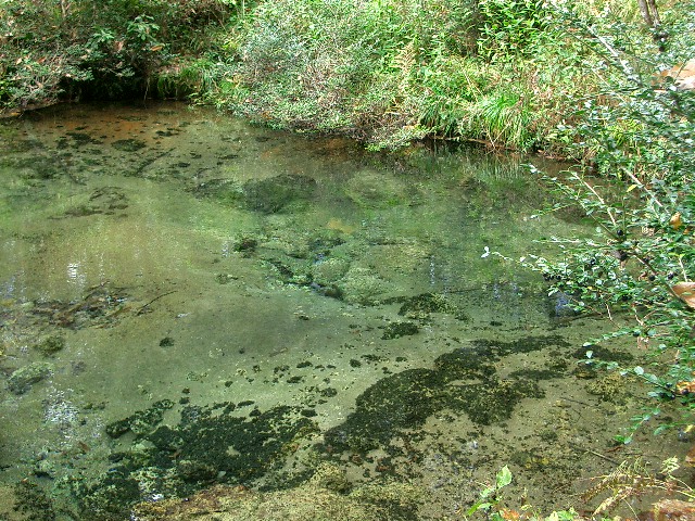 d0090300_23123195.jpg