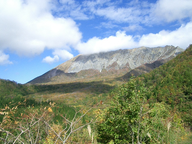 d0090300_2375227.jpg
