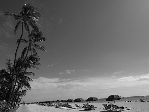 b0071106_043738.jpg