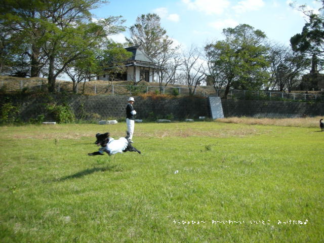 c0017311_10544123.jpg