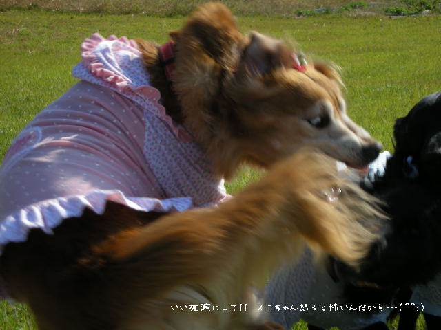c0017311_10574719.jpg
