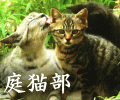 b0003512_20251565.gif