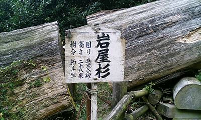 b0051713_3151337.jpg