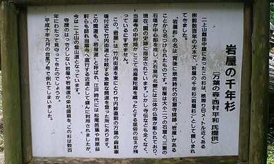 b0051713_3152913.jpg