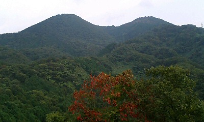 b0051713_318469.jpg