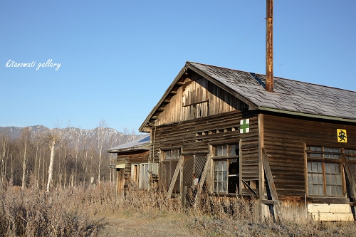 c0073613_1053885.jpg