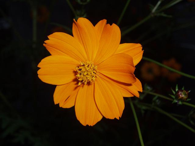 c0086014_21123054.jpg
