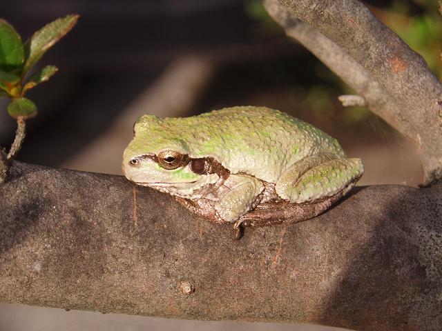 c0086014_217751.jpg