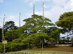 f0046614_2204612.jpg