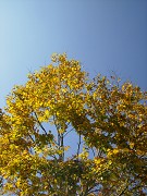 f0046614_2234741.jpg