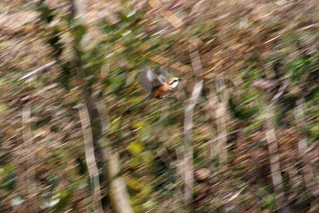 d0085715_002670.jpg