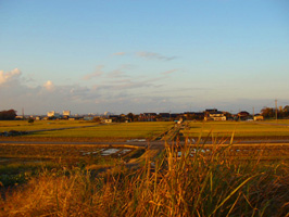 a0047618_0303738.jpg