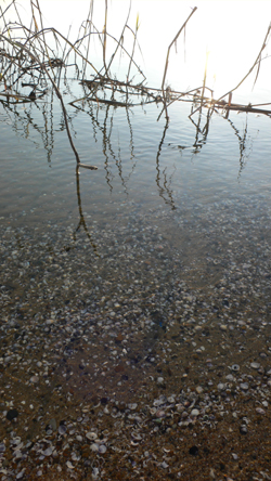 f0060424_9253052.jpg