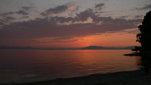 f0060424_929405.jpg