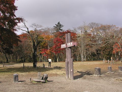 d0046531_1548383.jpg