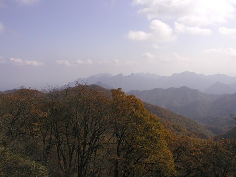 d0046531_1551712.jpg