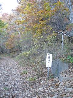 f0065941_1830153.jpg