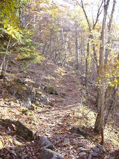 f0065941_18314372.jpg