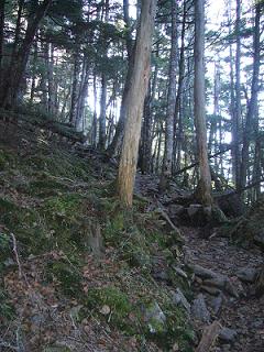 f0065941_183329100.jpg
