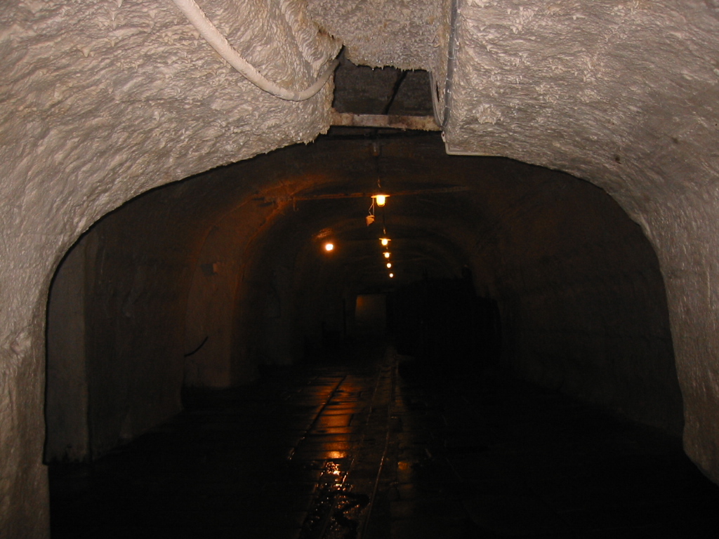 f0028549_5514545.jpg