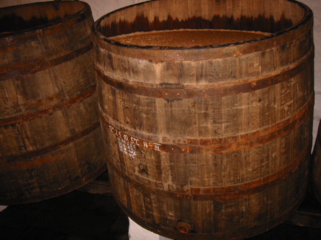f0028549_554293.jpg