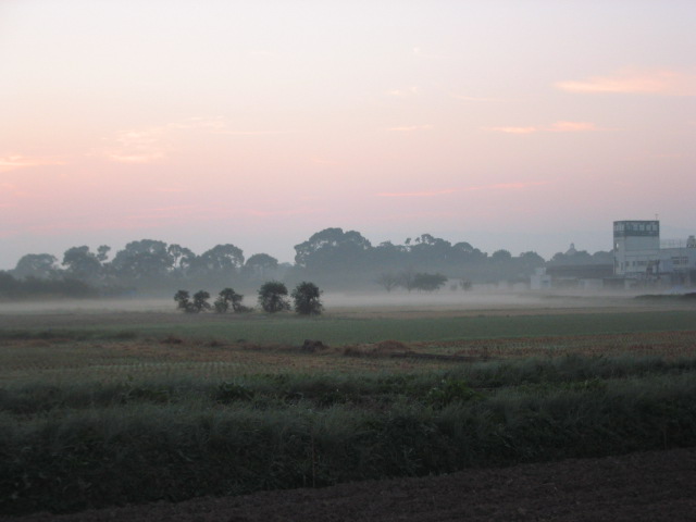 a0027555_7484779.jpg