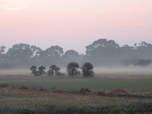 a0027555_7491020.jpg