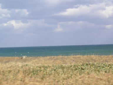 f0025355_13373119.jpg