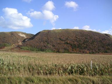f0025355_13385687.jpg