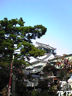 e0089761_138497.jpg