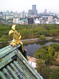 e0089761_428668.jpg