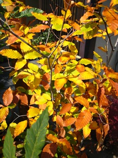e0015964_21423249.jpg