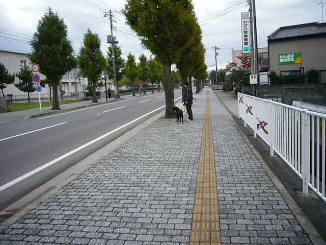 f0057565_1863979.jpg