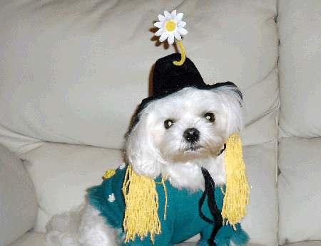 b0060071_1114434.gif
