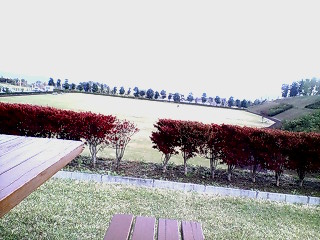 e0039871_015216.jpg