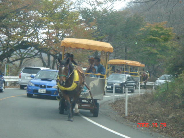 e0039871_0171830.jpg