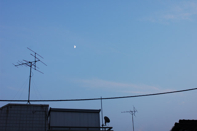 b0102780_18488.jpg