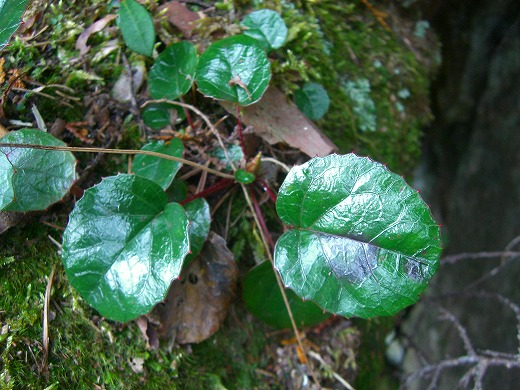 b0010882_225111100.jpg
