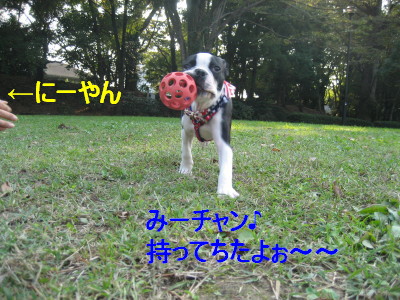c0092787_11213487.jpg