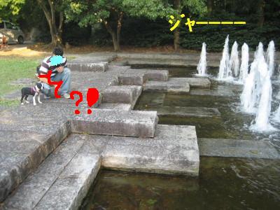 c0092787_11442712.jpg