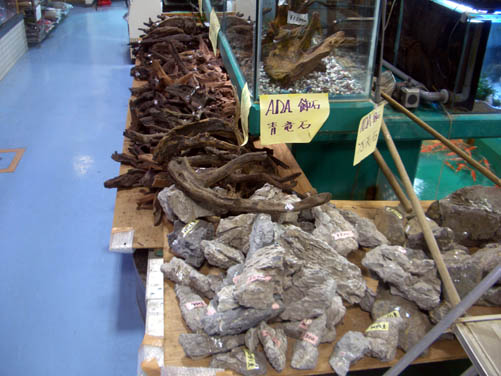 a0049090_1162356.jpg